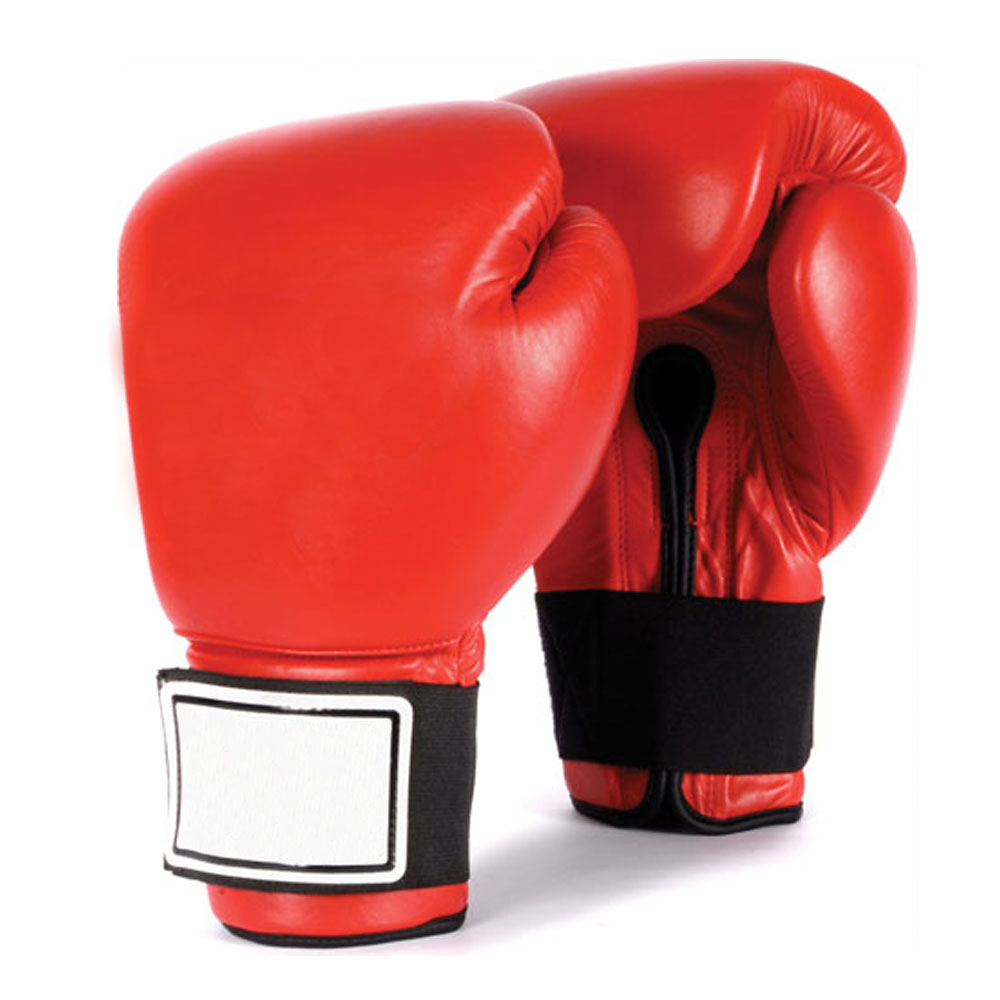 progloves1.jpg